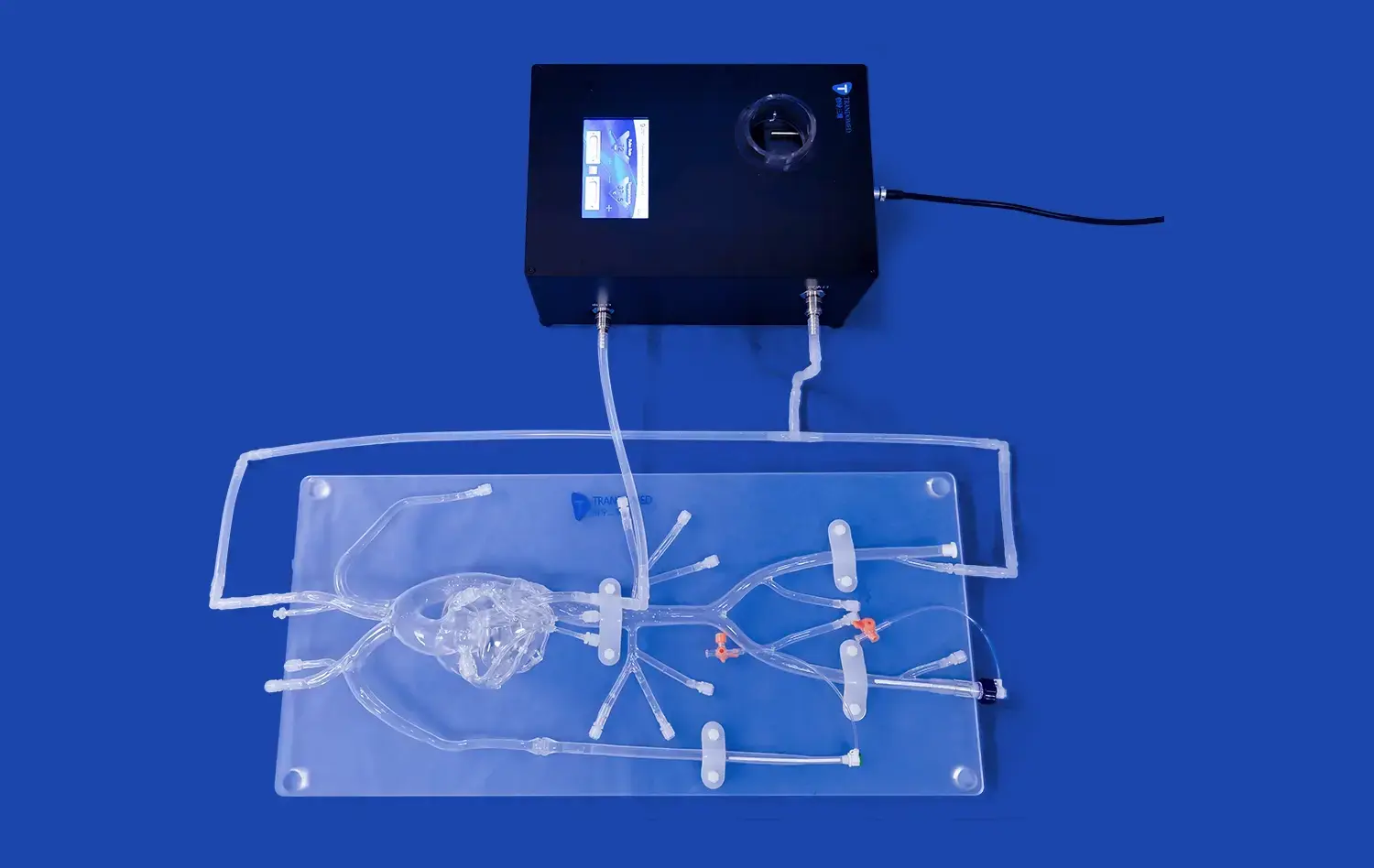 Detachable Coronary Model(XX004D)