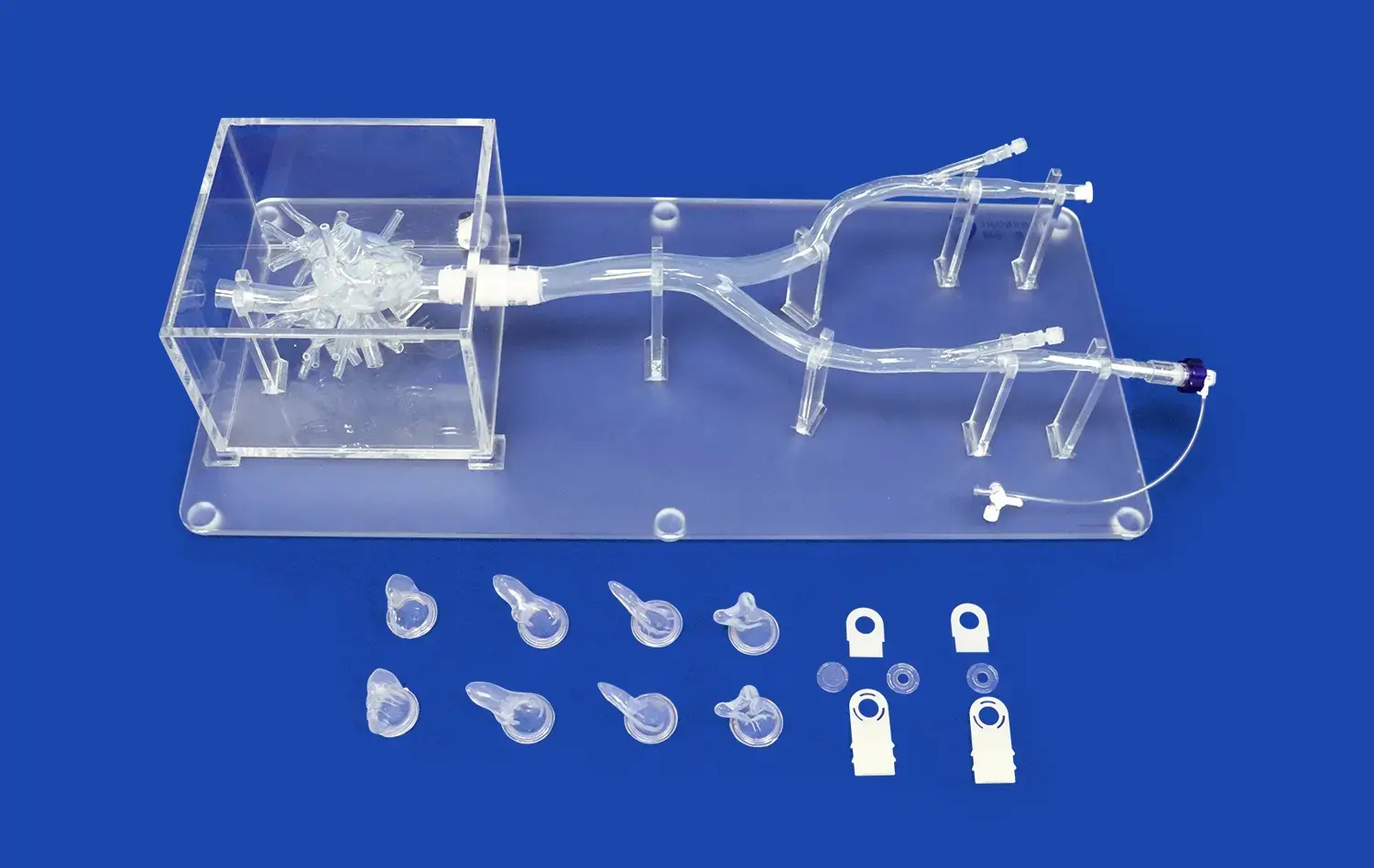 Left Atrial Appendage Closure Simulator(XX013D)