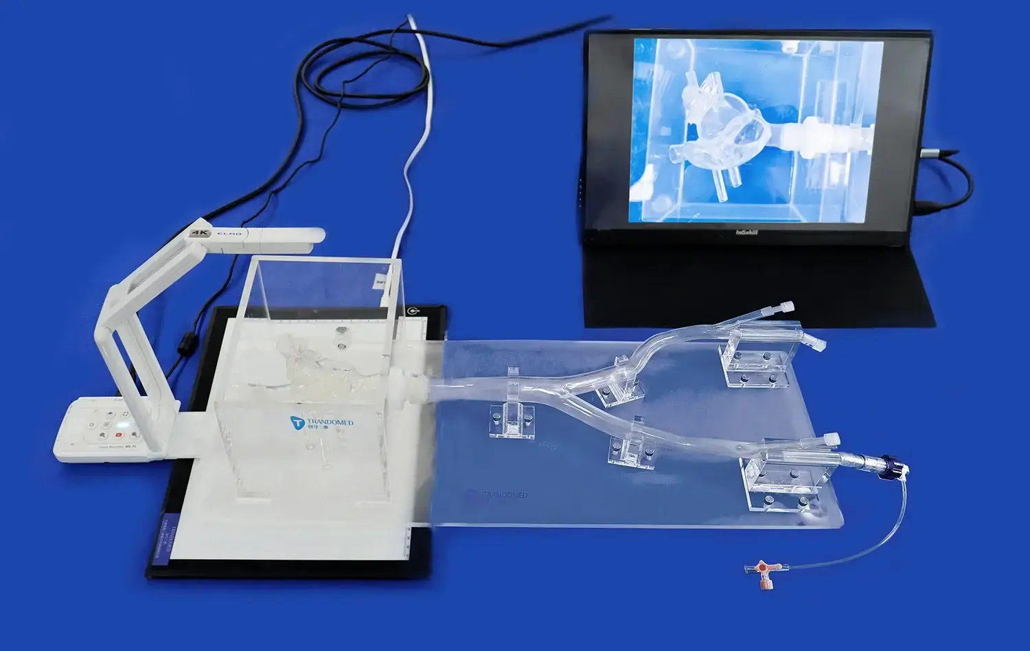 Congenital heart disease intervention training model(XXS003)