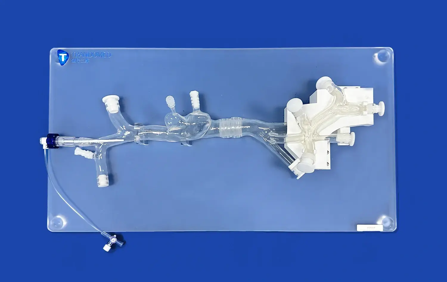 Transjugular Intrahepatic Portosystemic Shunt III(FBD033)