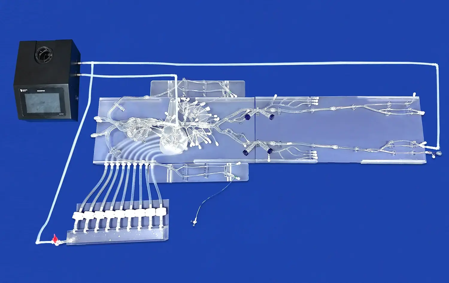 Peripheral vascular model I(WZ001)