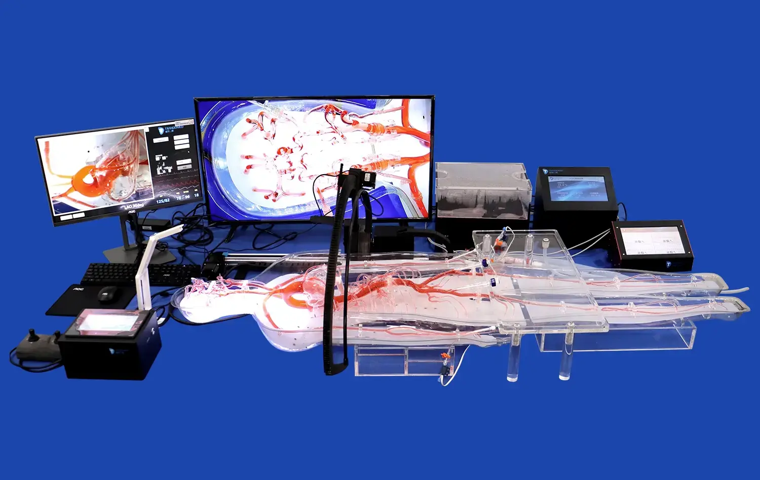 Endovascular Intervention Trainer(EVT011)