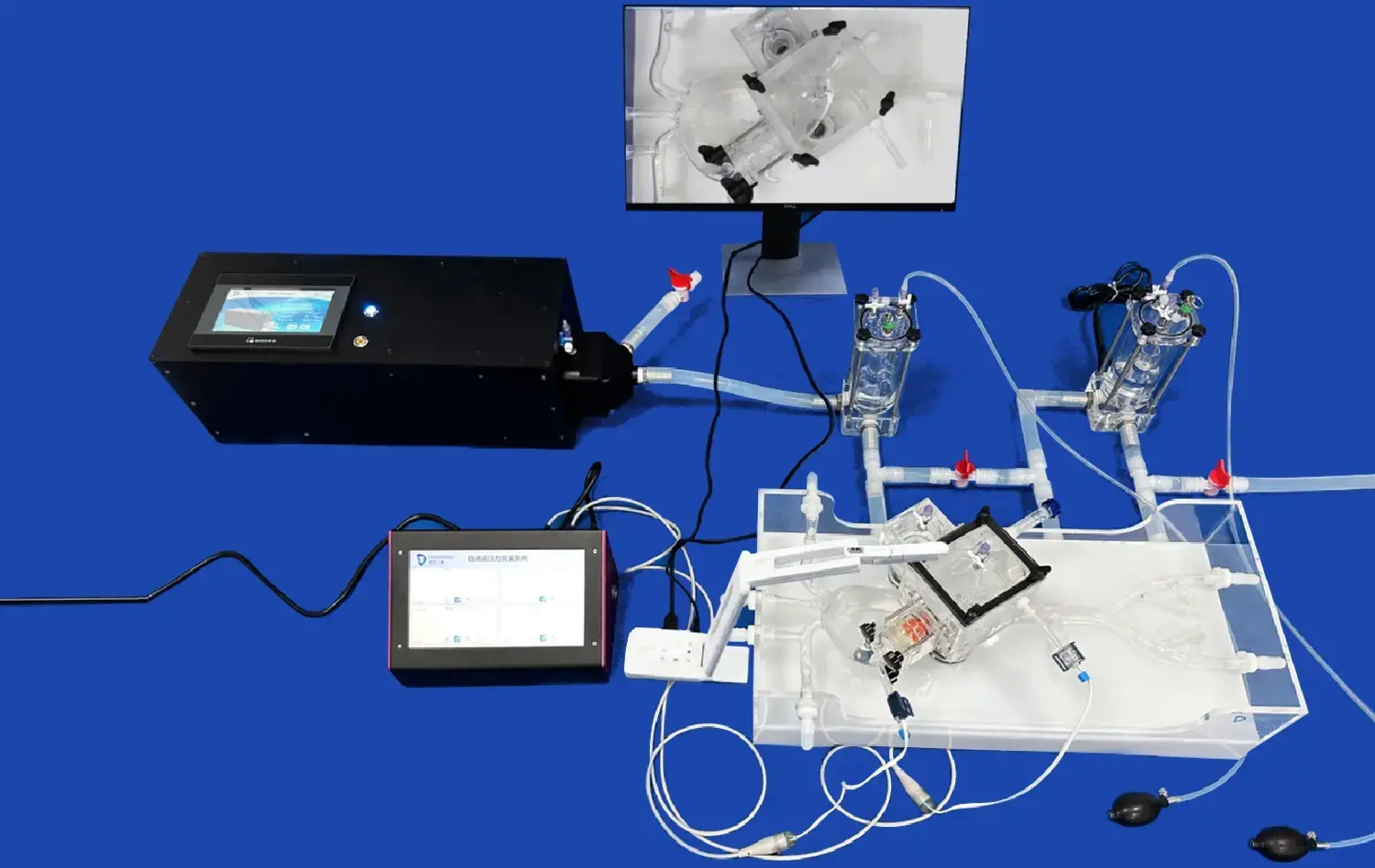 TAVR simulator(XXK005D)