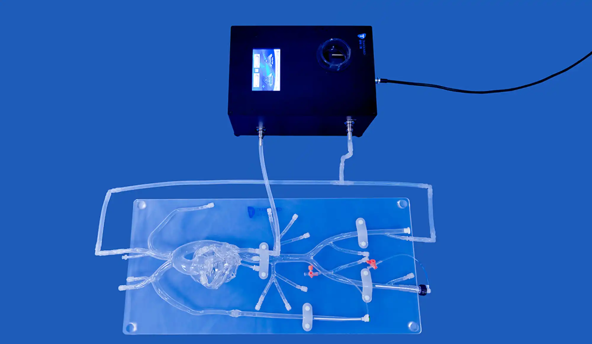 Detachable Coronary Model(XX004D)