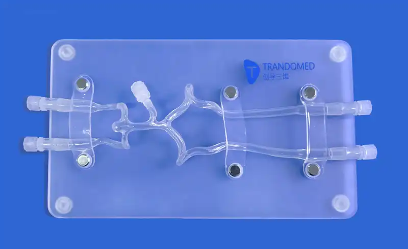 Vertebral Artery Model(SJK009D)