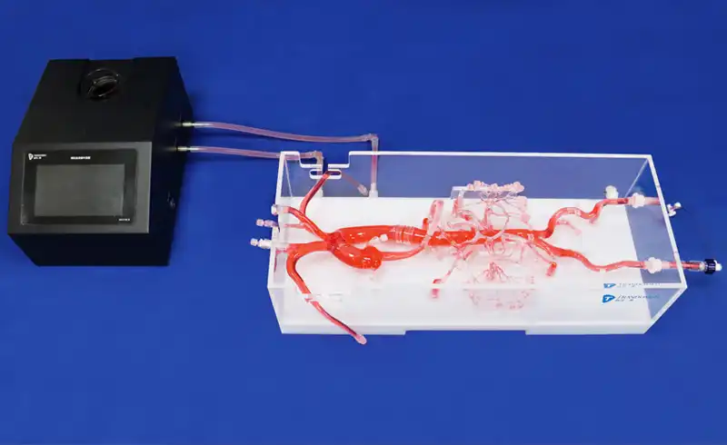 Vascular Abdominal Aorta Model(FBD001)