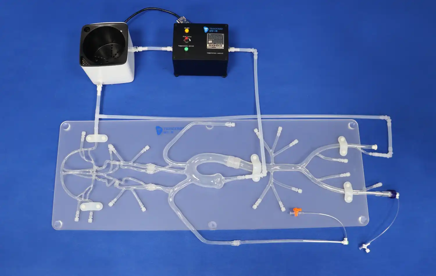 Neuro Vascular System I (with Aneurysm) (SJ001D)