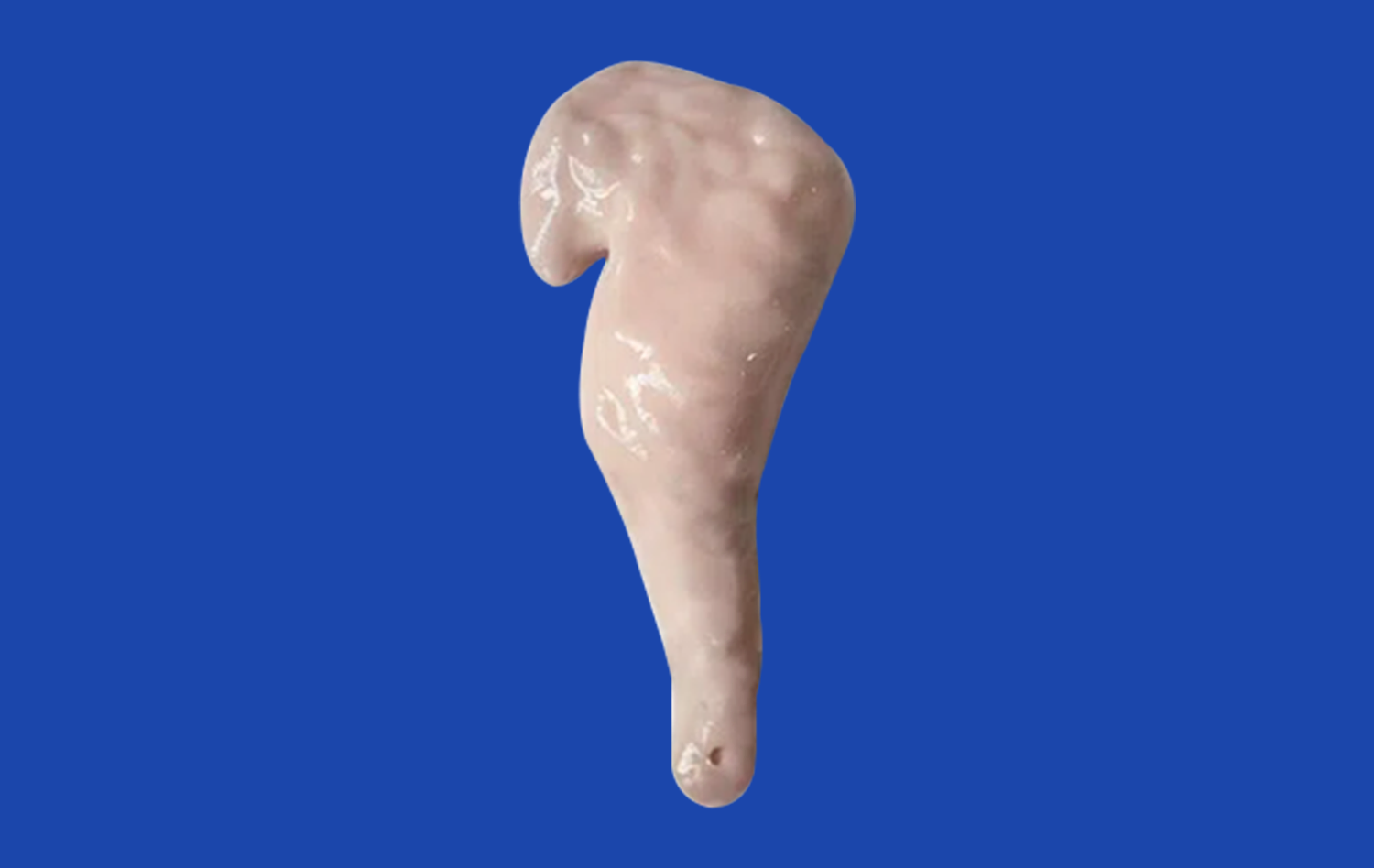 Pancreas On Model