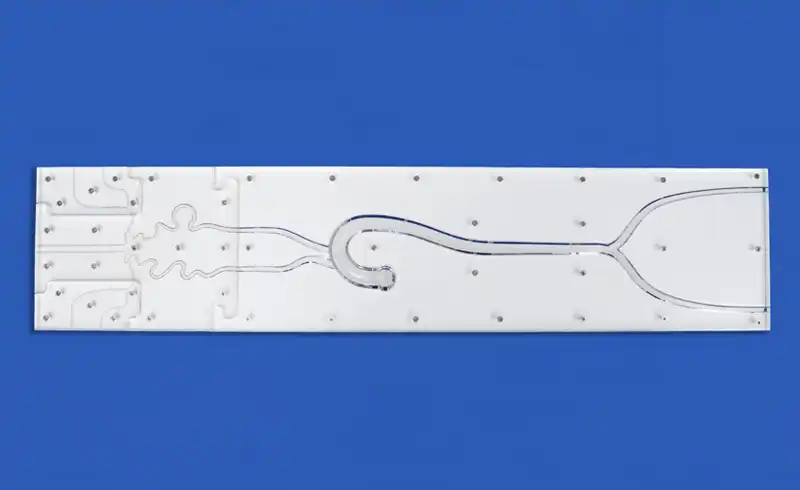 Labeled Cranial Nerves Model(SJX003)