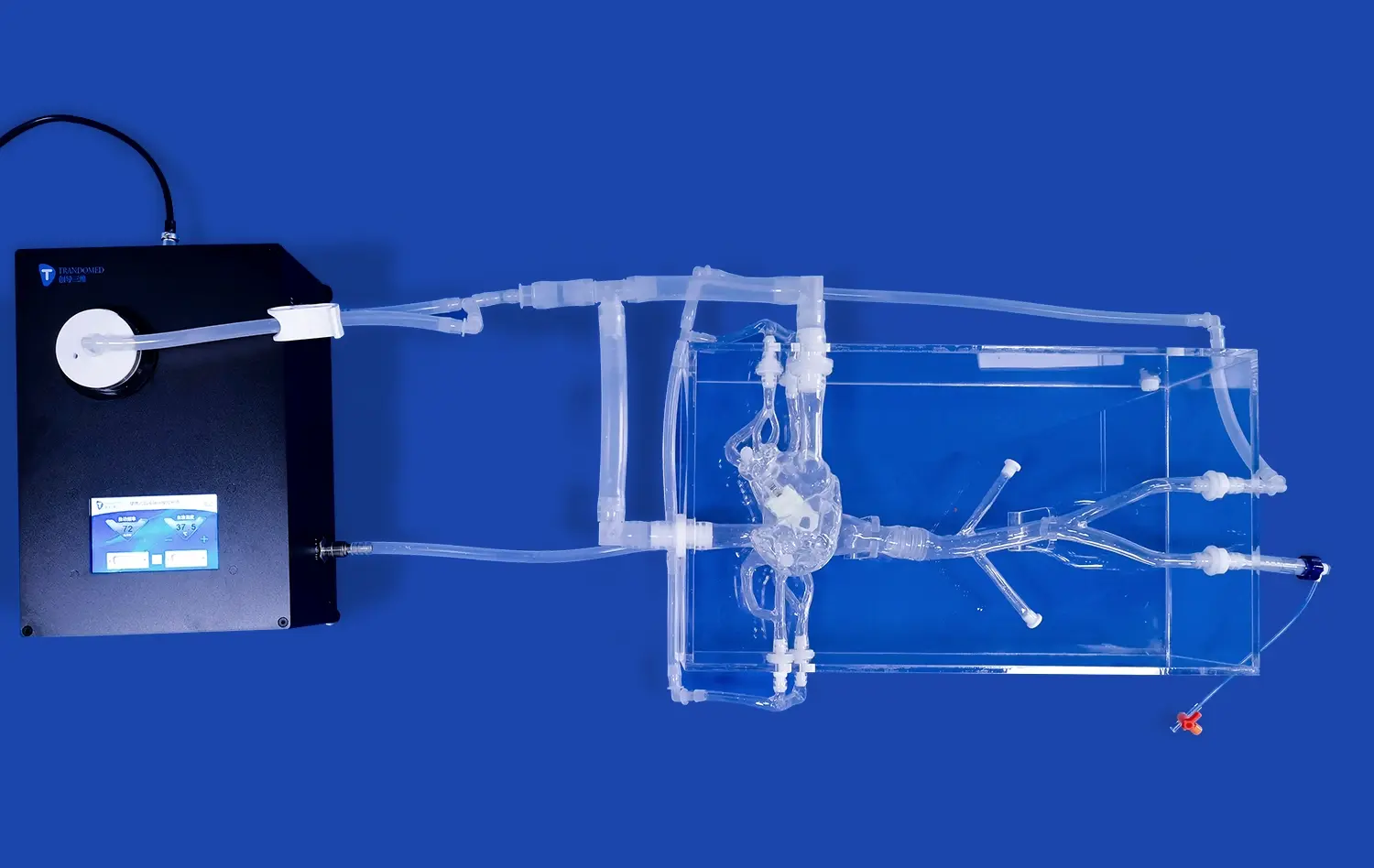 Atrial Septal Puncture Model